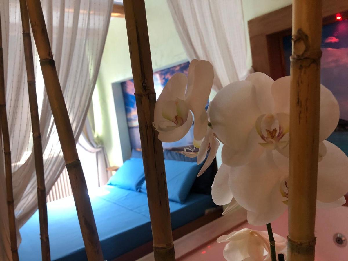 Dream & Relax Villa Fiore Μπάρι Εξωτερικό φωτογραφία