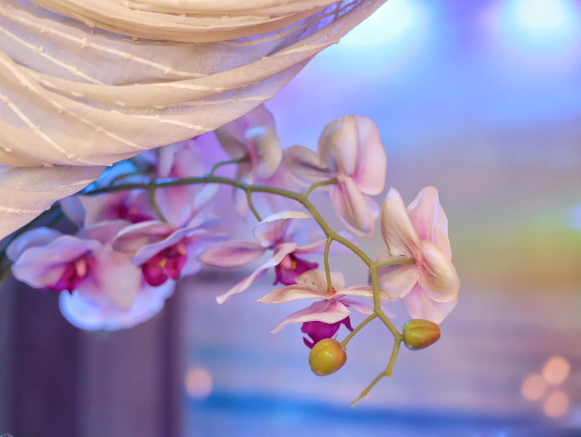 Dream & Relax Villa Fiore Μπάρι Εξωτερικό φωτογραφία